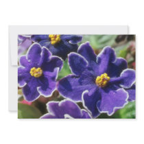 Yellow African Violet flowers Personalized Invitations