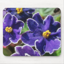 Yellow African Violet flowers Mouse Pad