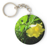 Yellow Allamanda Key Chains