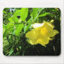 Yellow Allamanda Mouse Pads