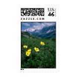 yellow Alpine pasqueflower flowers Stamp