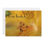 Yellow Alstroemeria Flower Your Invited