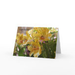 Yellow  Alstroemeria Happy Birthday Card