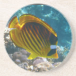 Yellow and Black Angel Fish Drink Coaster