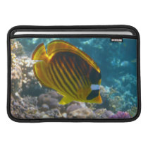 Yellow and Black Angel Fish Sleeves For MacBook Air