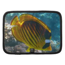 Yellow and Black Angel Fish Planner