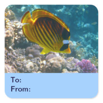 Yellow and Black Angel Fish Sticker