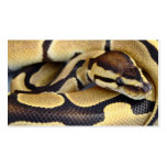 Yellow and Black Ball Python 3 Business Card