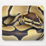 Yellow and Black Ball Python 3 Mousepads