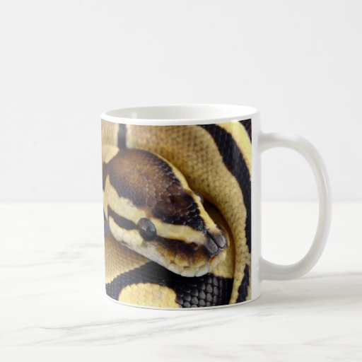 Yellow and Black Ball Python 3 Mugs