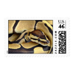 Yellow and Black Ball Python 3 Postage Stamps