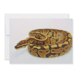 Yellow and Black Ball Python Custom Invitations