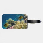 Yellow and Black Butterfly Fish Tags For Luggage