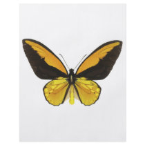 Yellow and Black Butterfly Flyer