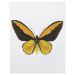 Yellow and Black Butterfly Flyer