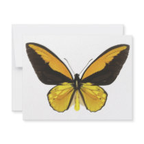 Yellow and Black Butterfly invitations by WilsonGraphics Yellow and Black Butterfly invitations