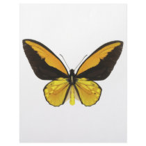 Yellow and Black Butterfly letterhead