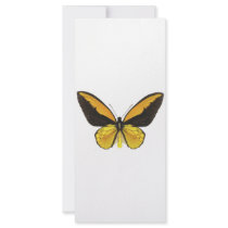 Yellow and Black Butterfly rack cards