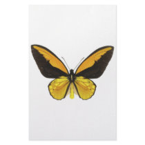 Yellow and Black Butterfly stationery