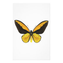 Yellow and Black Butterfly Stationery