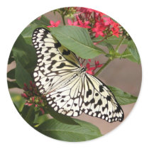 yellow and black butterfly sticker by deemac1 yellow and black butterfly sticker