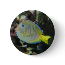 Yellow and blue fish buttons