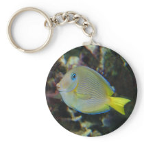 Yellow and blue fish key chains