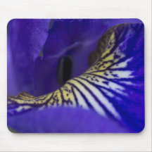 yellow-and-blue-flower-2012-05-26 mousepads