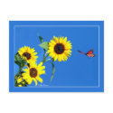 Yellow and Blue postcards