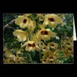 Yellow and Maroon Orchids Card