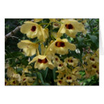 Yellow and Maroon Orchids Card
