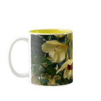 Yellow and Maroon Orchids mugs