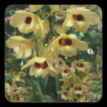 Yellow and Maroon Orchids Sticker