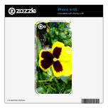 Yellow And Maroon Pansy Skin For iPhone 4S