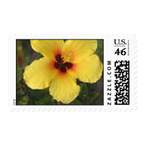 YELLOW AND ORANGE HIBISCUS postage