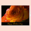Yellow and Orange Rose Mothers Day Card