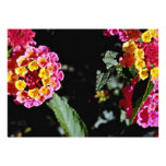 Yellow and pink flower heads  flowers personalized invitation
