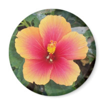 Yellow and Pink Flower magnets