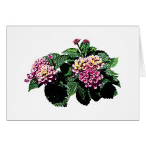Yellow and Pink Lantanas Greeting Cards