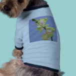 Yellow and Pink Orchids on Lavender pet clothing