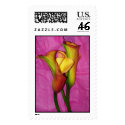 Yellow and PinkCalla postage