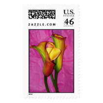 Yellow and PinkCalla postage by imagineblueskies Yellow and PinkCalla postage