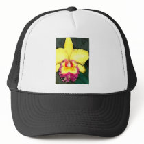 Yellow and Purple Cattleya Orchid hats by OrchidArt Yellow and Purple Cattleya Orchid hats