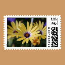 Yellow and Purple Daisy postage