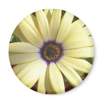 yellow and purple flower magnet