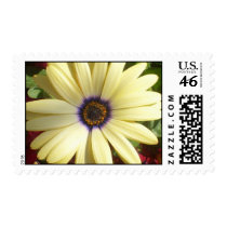 Yellow and Purple flower stamp by Queen_Lydia16 Yellow and Purple flower stamp