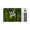 Yellow and purple iris postage by Yarijik Yellow and purple iris postage