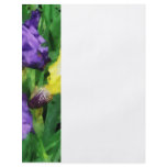 Yellow and Purple Irises flyers