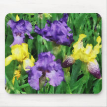 Yellow and Purple Irises Mouse Pads