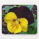Yellow and Purple Pansies mousepad
